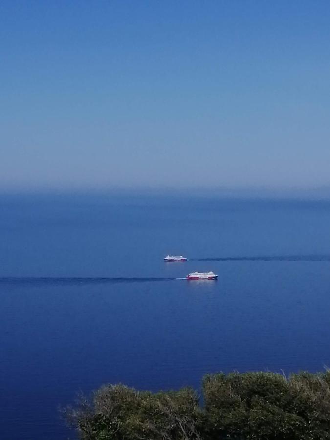 Apartament Aegean Deep Blue Andros Ano Aprovato Zewnętrze zdjęcie